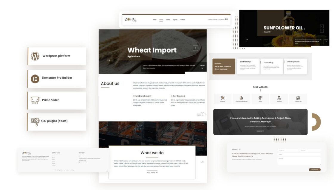 Export & Import Website